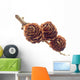 Pinecone Wall Decal