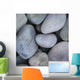 Piedras Wall Mural