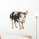 Cute Piglet Wall Decal