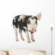 Cute Piglet Wall Decal