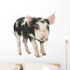 Cute Piglet Wall Decal