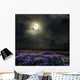 Lavender Field in the Moonlight Wall Mural