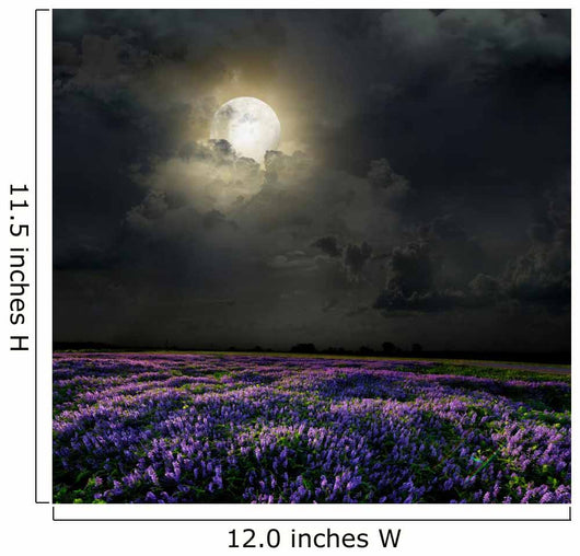 Lavender Field in the Moonlight Wall Mural