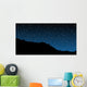 Starry Skies Wall Mural