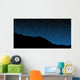 Starry Skies Wall Mural