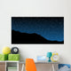 Starry Skies Wall Mural