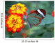 Transparent Butterfly Wall Mural