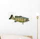 Smallmouth Bass Isolated on a White Background Wall Decal