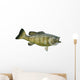 Smallmouth Bass Isolated on a White Background Wall Decal