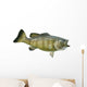 Smallmouth Bass Isolated on a White Background Wall Decal