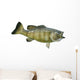 Smallmouth Bass Isolated on a White Background Wall Decal