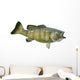 Smallmouth Bass Isolated on a White Background Wall Decal