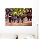 Merlot Grapes on Vine in Vineyard Wall Mural