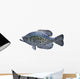 Black Crappie White