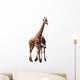 Giraffe Couple Wall Mural