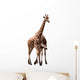 Giraffe Couple Wall Mural