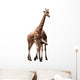 Giraffe Couple Wall Mural