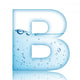 Water and Water Bubble