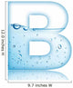 Water and Water Bubble