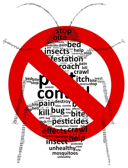 Restricted Area For Bugs Wall Decal