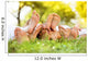 Happy Feet