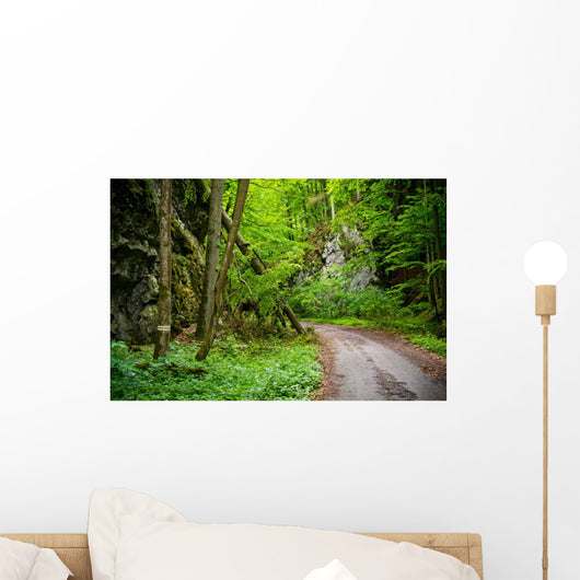 Mysterious Forest Wall Mural
