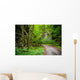Mysterious Forest Wall Mural