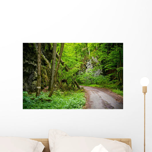 Mysterious Forest Wall Mural