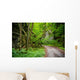 Mysterious Forest Wall Mural