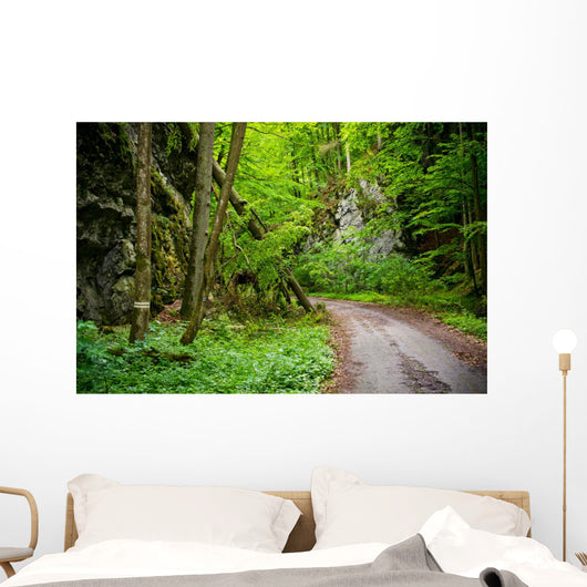 Mysterious Forest Wall Mural