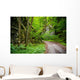 Mysterious Forest Wall Mural