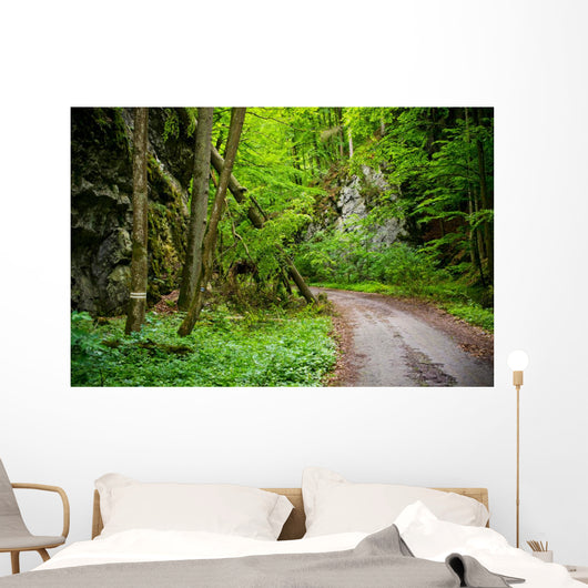 Mysterious Forest Wall Mural