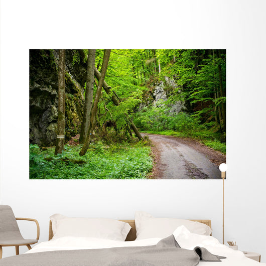 Mysterious Forest Wall Mural