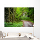 Mysterious Forest Wall Mural
