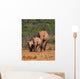 Elephant Family Wall Mural