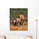 Elephant Family Wall Mural