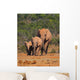 Elephant Family Wall Mural