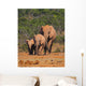 Elephant Family Wall Mural
