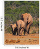 Elephant Family Wall Mural
