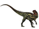 Allosaurus