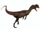 Dilophosaurus on White Wall Decal