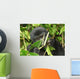 Eastern Mountain Gorilla Wall Mural