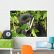 Eastern Mountain Gorilla Wall Mural