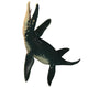 Liopleurodon on White Wall Decal