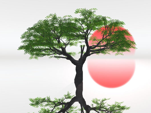 zen landscape Wall Mural