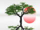 zen landscape Wall Mural