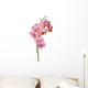 Pink Orchid Wall Decal