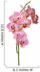 Pink Orchid Wall Decal
