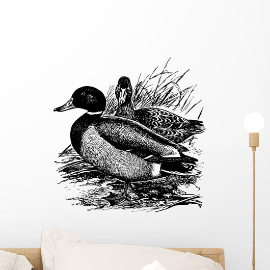 Birds Mallard Wall Decal