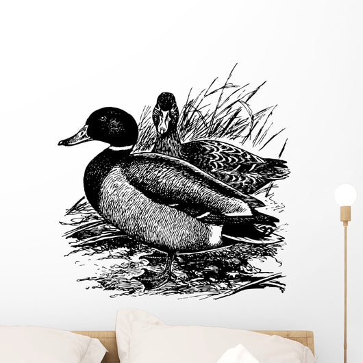Birds Mallard Wall Decal